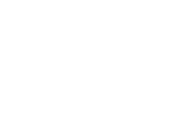 Agent Kong